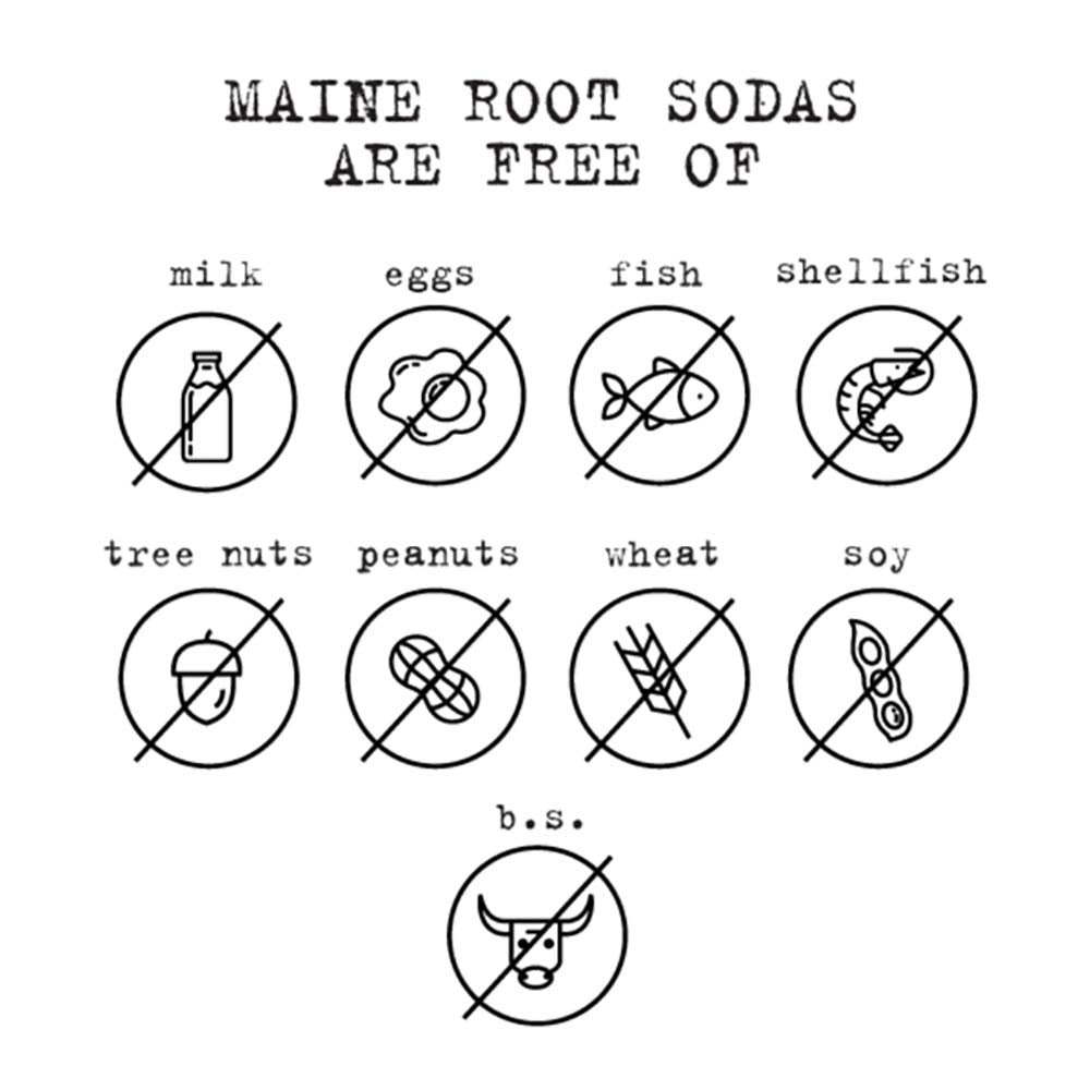 Maine Root Handcrafted Soda, 12 fl oz Bottle