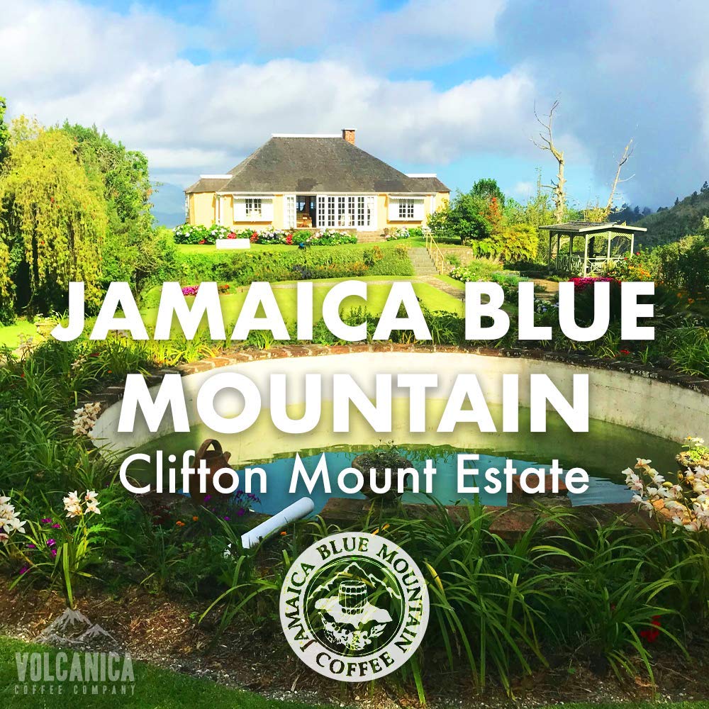 Jamaica Blue Mountain Clifton Mount Whole Bean Coffee, 5 lb