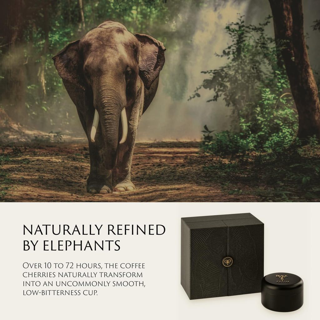 Black Ivory Naturally Refined Whole Bean Coffee