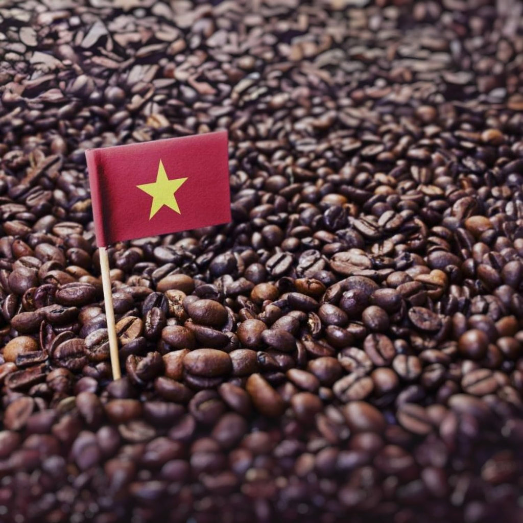 Kaya Kopi Premium Indonesian Kopi Luwak Arabica Coffee, 1kg