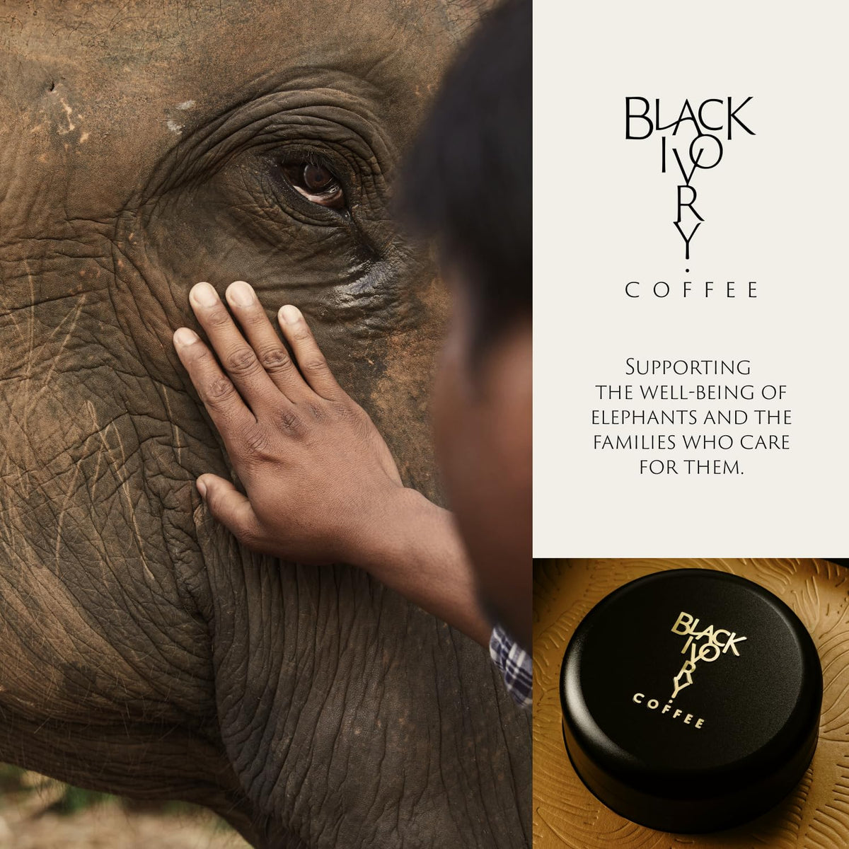 Black Ivory Naturally Refined Whole Bean Coffee