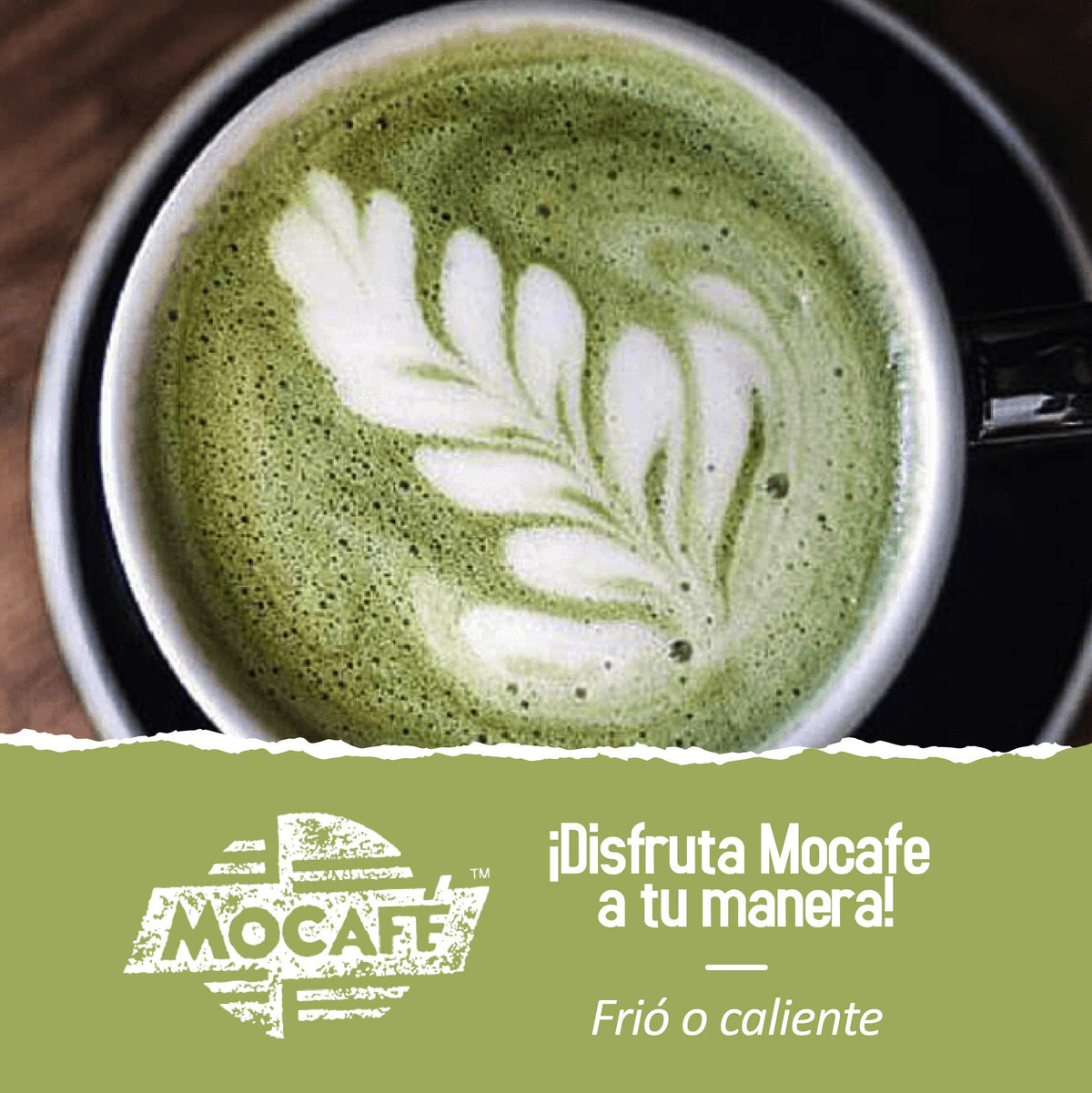 Mocafé Matcha Green Tea case of 4 Bags Each 3 Pounds