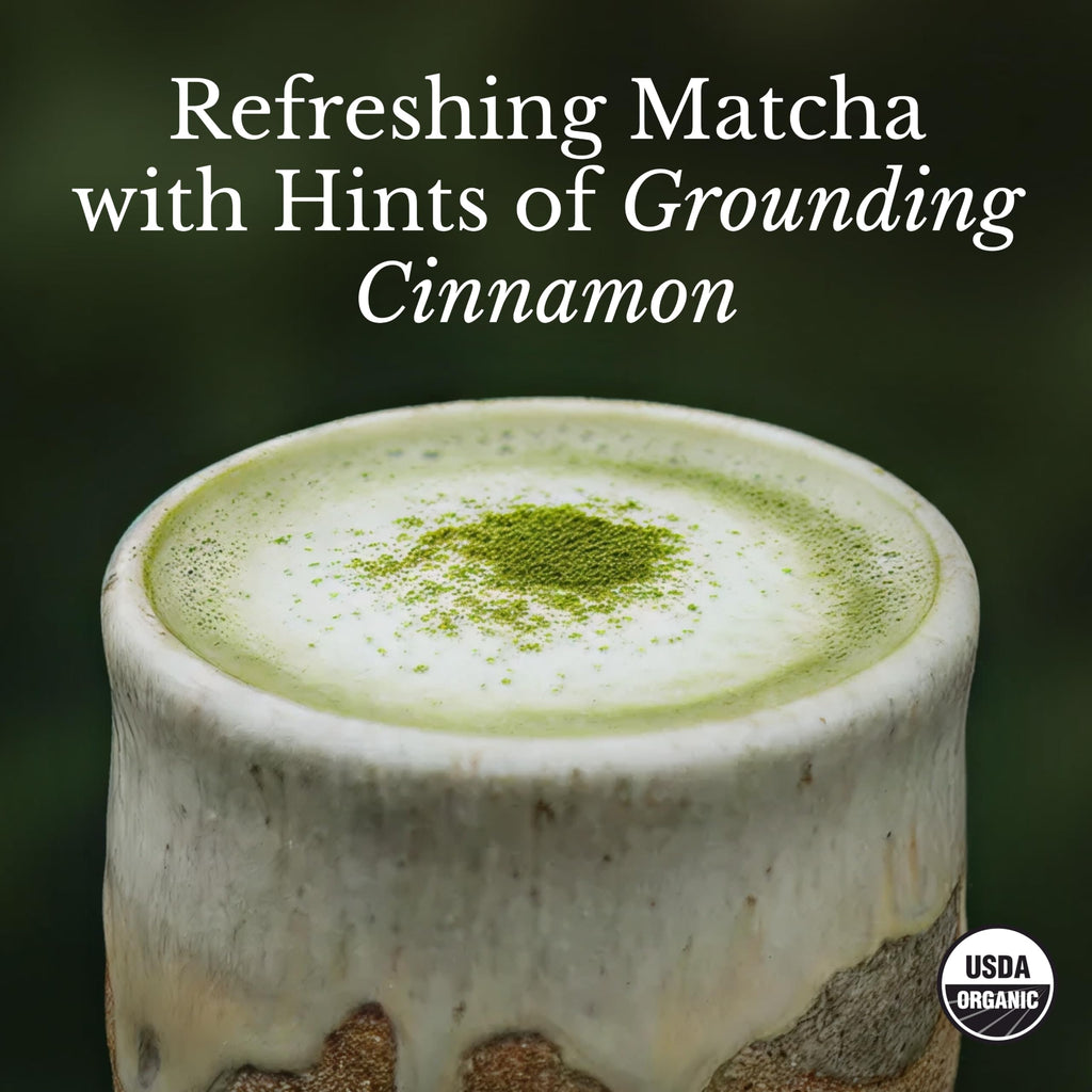 MUDWTR Organic Mushroom Matcha Powder with Adaptogens