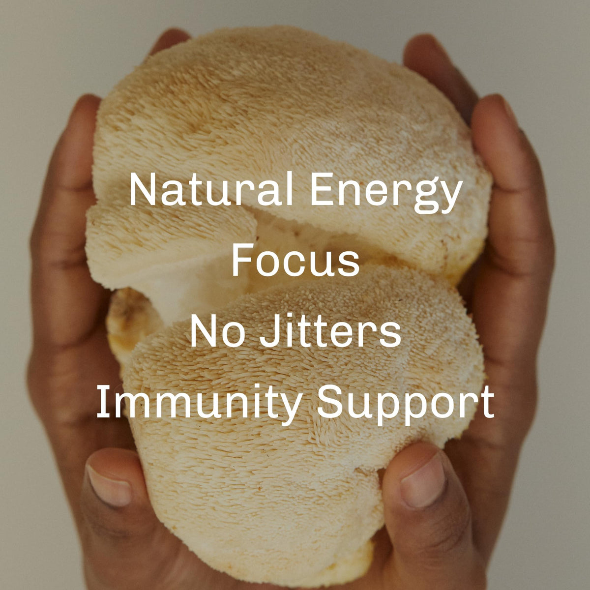 MUDWTR Organic Mushroom Matcha Powder with Adaptogens