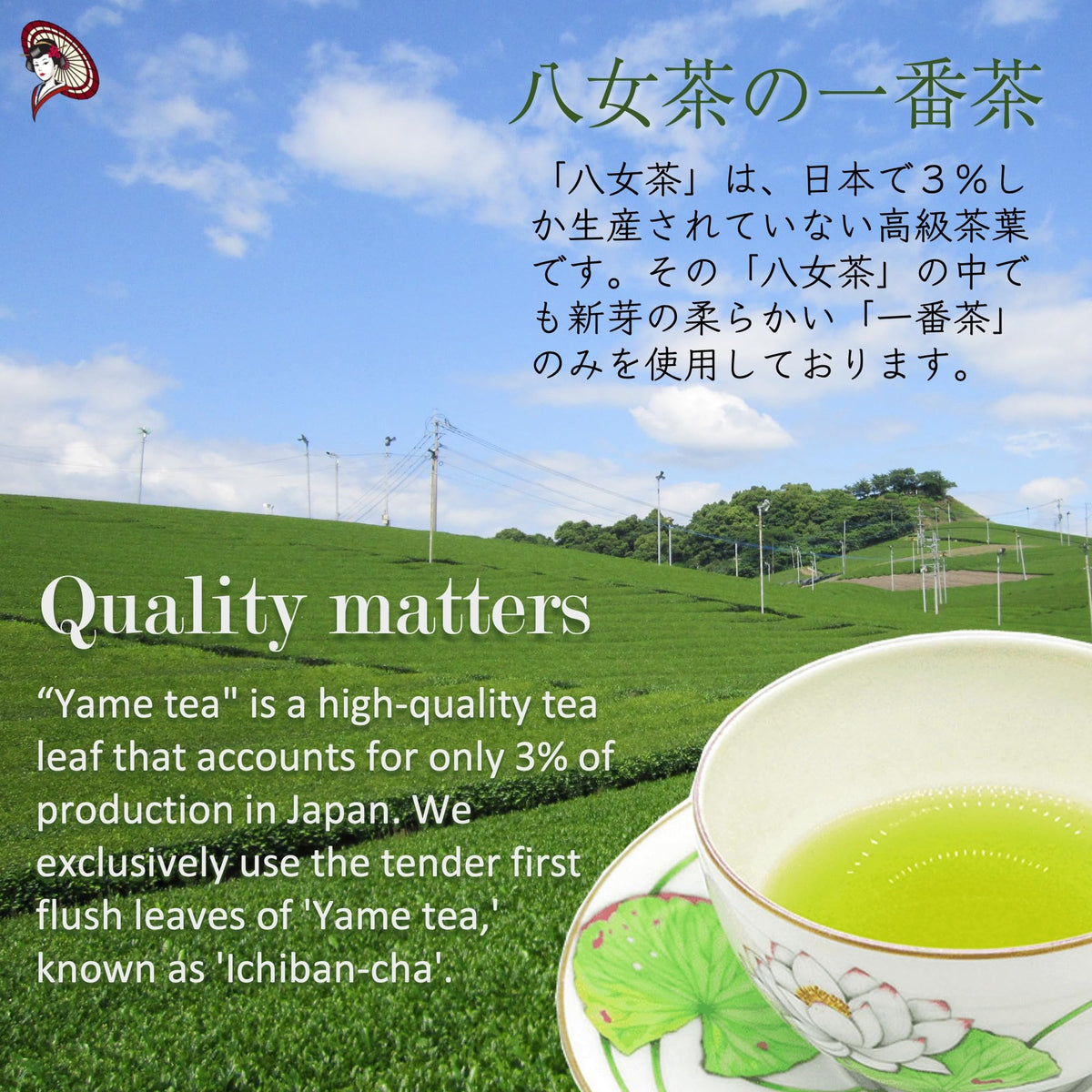 Mukoh Matcha Premium Sweetened Japanese Matcha Powder, 20kg