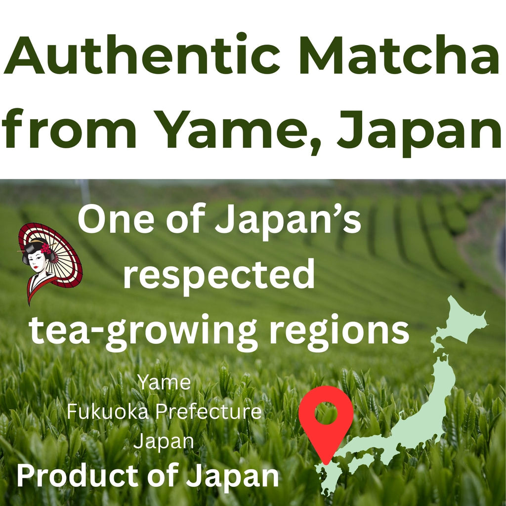 Japanese Culinary Matcha Powder from Yame, Japan, 1kg–20kg
