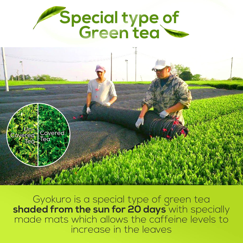 Japanese Green Tea Co Gyokuro & Issaku Tea Set with Kyusu